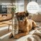 O2 PETS Omega SENIOR 7+ Cats and Dogs Wild Caught Norwegian Salmon Oil Supplement &ndash; Omega 3 DHA for Brain, Joint, and Mobility Support(500ml)