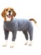NALACAL Dog Recovery Suit, Professional Soft Breathable Dog Surgery Suit, Abdominal Surgical Suit, Prevent Licking Wounds, Dog Recovery Suit, Dog Pajamas, Long Sleeve Prevent Shedding, Large Grey