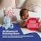 Chicco Ch080152 Toy Fd Baby Bear Blue