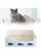 NALACAL 10 Pack Foldable Paper Kitty Tray, Disposable Cat Litter Box, 13.8 x 10 x 2 in Small Lightweight Cardboard Box, Water Proof, for Indoor Low Entry, Easy Disposal, Non Clumping, Nice Absorption