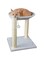 Mumoo Bear Cat Tree And Scratcher- Two Sisal Scratching Posts, Hammock Style Lounging Bed And Interactive Hanging Toy For Cats And Kittens