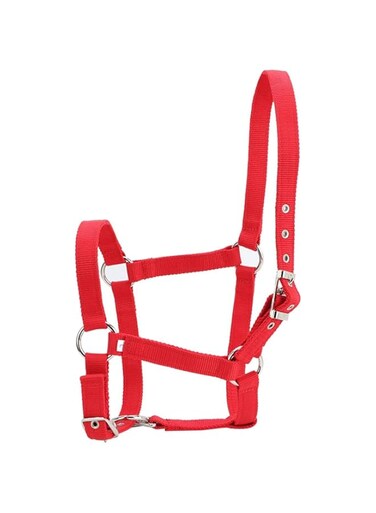Velaurs 6mm Thickness Replacement Horse Control Bridle, Horse Bridle, High Density for Restraint Horse with Buckle Control Horse Horse Riding Accessory