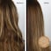 Dphue Gloss+ Semi-Permanent Hair Color And Deep Conditioner - # Medium Blonde 192ml/6.5Oz