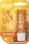 Essentialz Naturals Lip Balm, Sun Protect, Dermatologically Tested, 4.8G