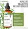 USDA Certified Organic Rosemary Essential Oil 2oz &ndash; 100% Pure Rosemary Oil for Hair Growth &amp; Skin, Improve Focus and Memory, Relieves Pain &amp; Improves Circulation- Therapeutic Grade Aromatherapy Oil