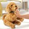 Sky Rocket My Fuzzy Friend Moji Interactive Labradoodle - Plush Interactive Dog Toy For Boys and Girls, Loveable and Lifelike Companion Pet