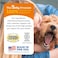 Zesty Paws Wild Alaskan Omega-3 Blend Pollock + Salmon Oil For Dogs And Cats- Skin And Coat Support, Omega 3 Supplement For Pets, 8.5Oz