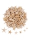 MAKINGTEC 100 Pcs Small Starfish Star Sea Shell Beach for Craft 0.4"-1.9"Starfish for Wedding Decor, Beach Theme Party, Home Decoration