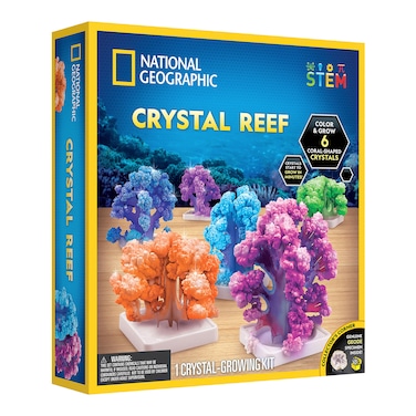 Blue Marble National Geographic Coral-shaped Crystal Reef Growing Hands on Science Kit