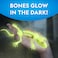 Blue Marble National Geographic Glow-in-the-Dark Gecko Dissection Lab