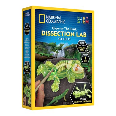 Blue Marble National Geographic Glow-in-the-Dark Gecko Dissection Lab