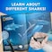 Blue Marble National Geographic Hammerhead Shark Dig Kit