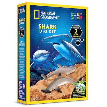 Blue Marble National Geographic Hammerhead Shark Dig Kit