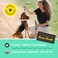 Primal Pet Foods Cat Treats Soft Chicken Jerky, Made With Bone Broth For Cats, Give Pieces A Chance Treats For Cats, Grain Free, 4 Oz