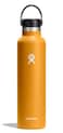 Hydro Flask Fossil Standard Mouth Insulated Bottle, 710ml