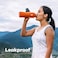 Hydro Flask Fossil Standard Mouth Insulated Bottle, 710ml