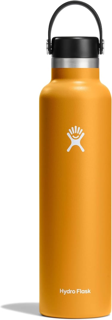 Hydro Flask Fossil Standard Mouth Insulated Bottle, 710ml