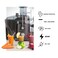 Danish Design Premium Fruit Juicer - Self-Cleaning Function, 3-Speed Precision, Large 3.0L Pulp Container, 800ML Jug, Overheat Protection, 2-Year Warranty
