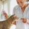 NABA Grilled Chicken Fillet Cat Treats with Vitamin E and Green Tea Extract - Bag of 10