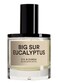 D.S.&amp; Durga Big Sur Eucalyptus For Unisex Eau De Parfum 100ml