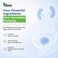 Ams Uticyst Support Urinary Tract 60 Caplets