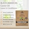 Okay Pure Naturals Black Jamaican Castor Oil Leave-In Conditioner, 37ml, With Shea Butter &amp; Argan Oil, Paraben &amp; Silicone Free, Hydrate, Strengthen &amp; Repair, For All Hair Types