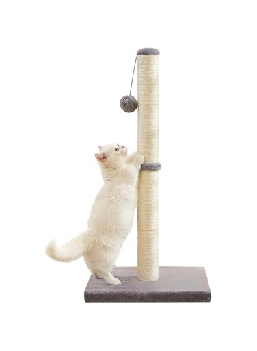 NeoStyle Cat Scratching Post for Indoor Cats,Cat tree with Sisal Rope Durable,Cat Scratcher with Hanging Ball and Mouse Toy (32 inches/80cm Tall, Grey)