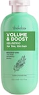 Volume and Boost Hair Shampoo Fine Thin Hair Blended with Tea Tree Rosemary and Biotin 300 ml