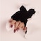 Artistic Nail Design Nail Polish   Reactive Nail Lacquer   Gone Rogue   15ML
