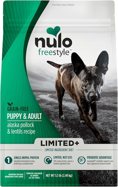 غطاء للكلاب اف اس من نولو، 2.5 كجم