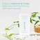 Native Jasmine &amp; Cedar Deodorant, 2.65 Ounce - Paraben Free