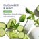 Native (Mint &amp; Cucumber) - Sensitive Deodorant Natural Deodorant For Women And Men, Aluminium Free, Baking Soda Free, Phthalate Free, Talc Free, Coconut Oil And Shea Butter Cucumber &amp; Mint (Sensitive)