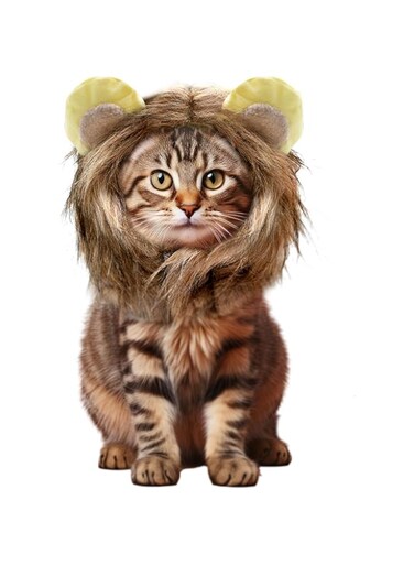 Lion Mane Wig for Cats, Realistic Mane Wig with Ears Pet Halloween Costume Cat Lion Mane Wig Adjustable Washable Comfortable Fancy Lion Hair Cat Kitten Puppy Costumes Birthday Party Cosplay Apparel