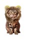 Lion Mane Wig for Cats, Realistic Mane Wig with Ears Pet Halloween Costume Cat Lion Mane Wig Adjustable Washable Comfortable Fancy Lion Hair Cat Kitten Puppy Costumes Birthday Party Cosplay Apparel