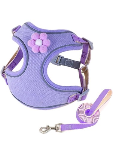 NALACAL Small Dog Harness and Leash Set, Reflective Bands Night Safe Pet Dog Vest, No Pull Soft Mesh Pet Harness for Walking, Adjustable Chest Belt, for Puppy Medium