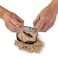 Blue Marble National Geographic Dino Fossil Dig Kit