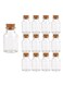 12Pcs 5oz Glass Jars with Cork Small Empty Glass Spice Bottles with Lids, Storing Tea Herbs and Spices DIY
