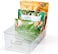 YouCopia FreezeUp Freezer Bin 15", BPA-Free Clear Fridge Organizer with Adjustable Dividers and Handles for Frozen Food and Leftovers