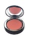 Bye Bye Pores Blush
