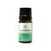 Rare Essence Organic Peppermint Essential Oil 5ml 70028