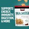 Force Factor Sea Moss Soft Chews, Support Immunity, Digestion, and Heart Health, Irish Sea Moss Superfood &amp; Antioxidants Supplement, Non-GMO, Gluten-Free, Salted Caramel Flavor, 30 Soft Chews
