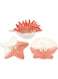 KASTWAVE Set of 3 Exquisite Ceramic Jewelry Dishes - Cute Decorative Trays for Rings, Earrings, Necklaces &amp; Bracelets - Great Mother's Day Gift (Pink Starfish &amp; Conch Shell)