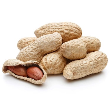 فول سوداني