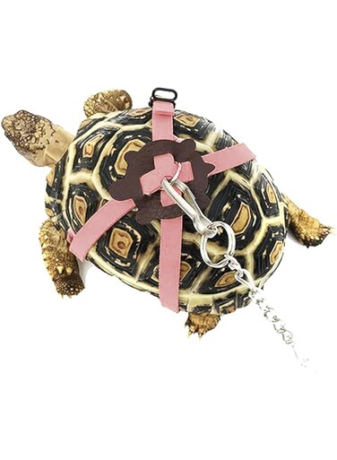 THE WHITE SHOP Turtle Leash Small Pets Turtle Leash and Harness Pet Tortoise Leash Walking Rope for Turtle Supplies Adjustable Control Rope for Outdoor Walking Training Yellow (Color : Pink)