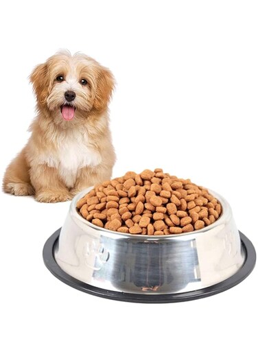 ANTOLE Cat Bowl Dog Food Bowl Stainless Steel Cat Food Water Bowl with Non-Slip Rubber Base Small Pet Bowls for Indoor Cats and Dogs (22CM)