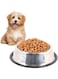 ANTOLE Cat Bowl Dog Food Bowl Stainless Steel Cat Food Water Bowl with Non-Slip Rubber Base Small Pet Bowls for Indoor Cats and Dogs (22CM)