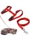 Mumoo Bear Adjustable Harness And Leash Collar With Lead For Cat And Small Pets- Assorted Colors
