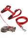 Mumoo Bear Adjustable Harness And Leash Collar With Lead For Cat And Small Pets- Assorted Colors
