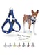 DOCO&reg; Athletica Air Step-In Harness (DCA202) Color - Blue, Sizes - S