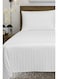Plush Polyester Single Size Bedsheet Stripes - 160 x 240 Cm Luxurious Comfort for Single Bed